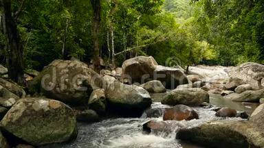 有岩石的雨林和河流的景色。热带森林深处。快石溪上长满树木的丛林。